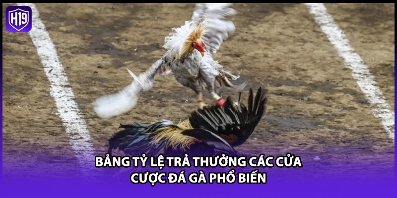 Bảng tỷ lệ trả thưởng các cửa cược đá gà phổ biến