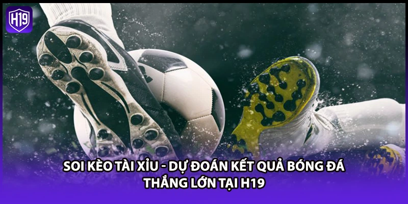Soi kèo tài xỉu